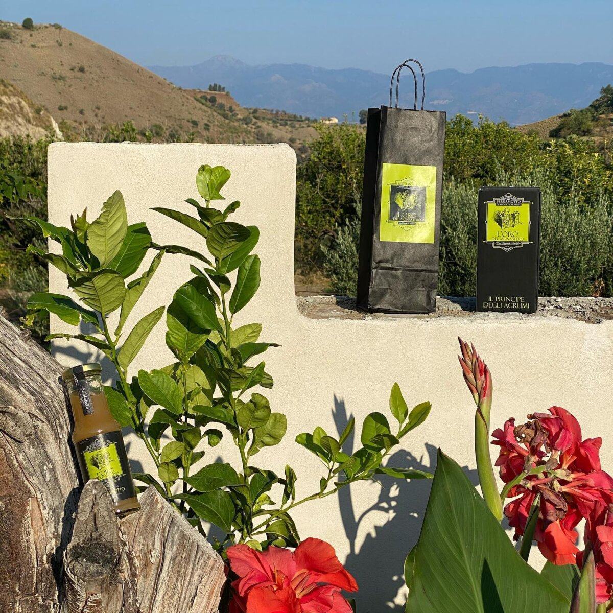 L'oro Del Monastero 2