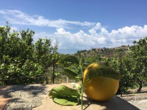 L'oro Del Monastero 6