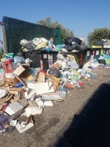 Rifiuti Vinco Pavigliana