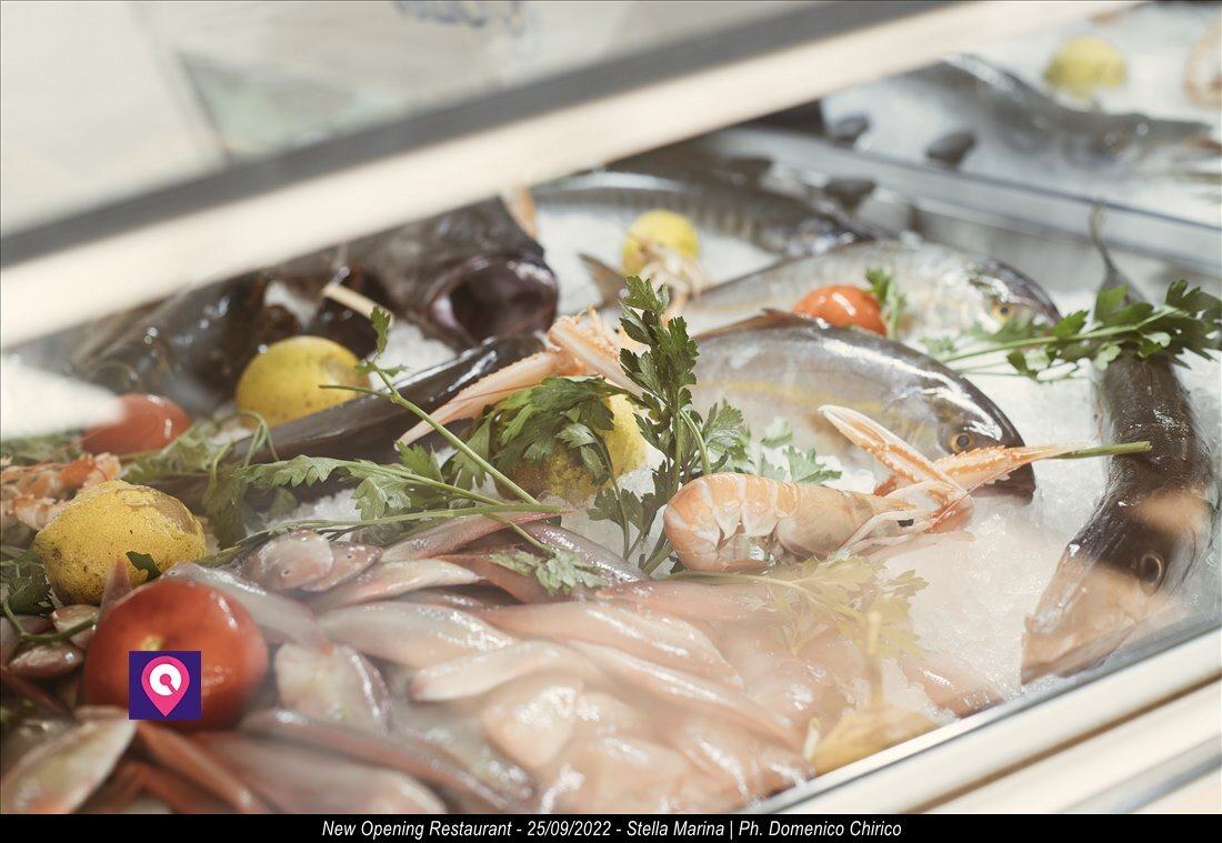Restaurant Stella Marina New Opening 112