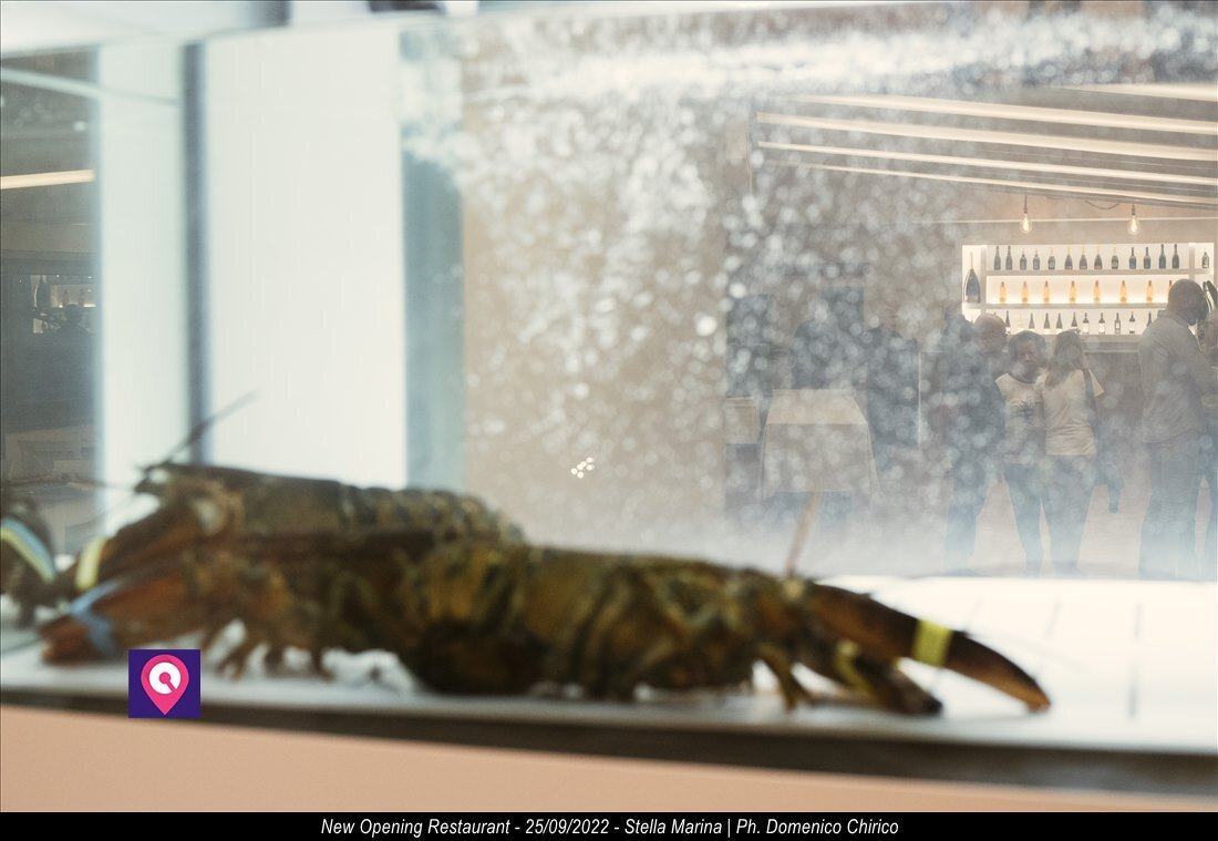Restaurant Stella Marina New Opening 23