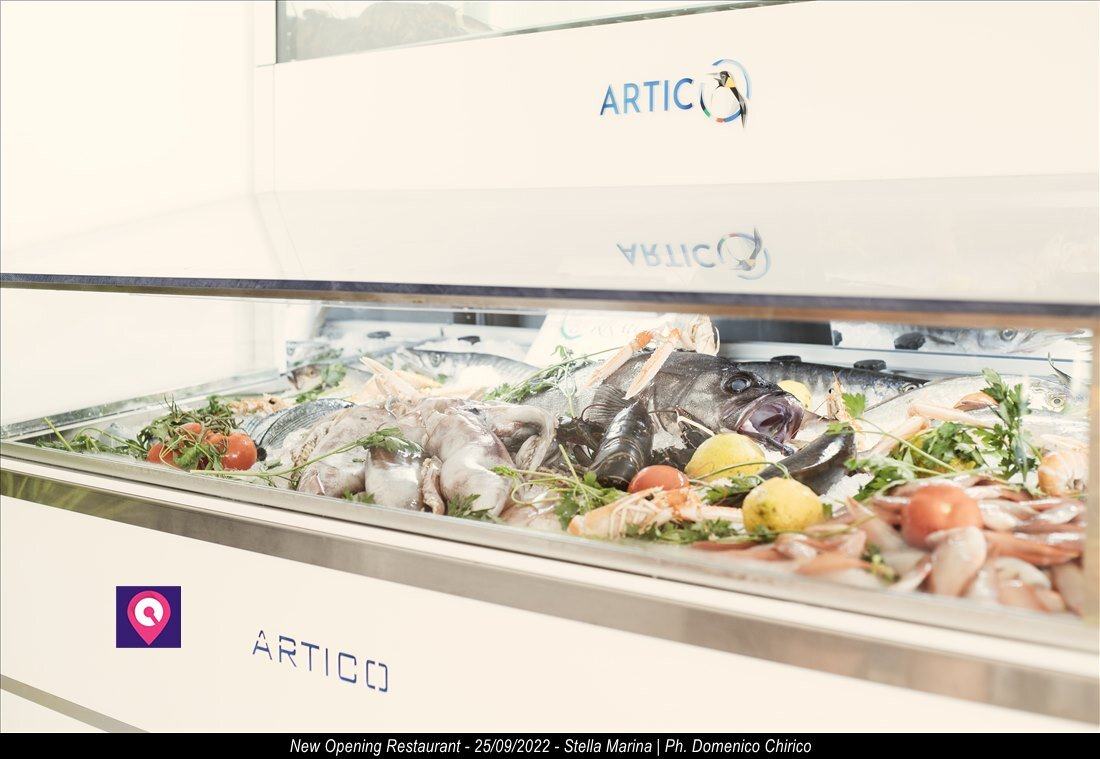 Restaurant Stella Marina New Opening 68