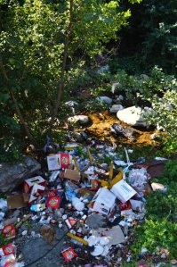 Rifiuti San Luca Polsi 4