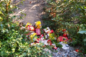 Rifiuti San Luca Polsi 7