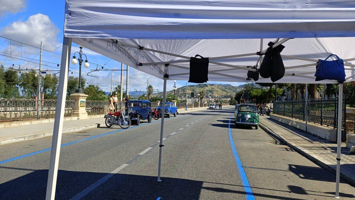 309746380 1163409334549817 1963078150447705436 N