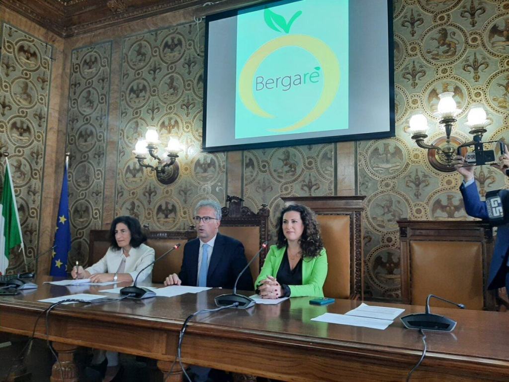 Bergarè
