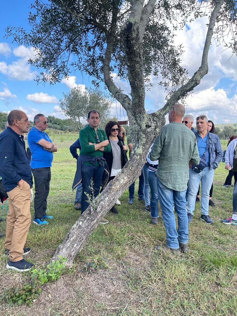 Camminata Tra Gli Olivi 1