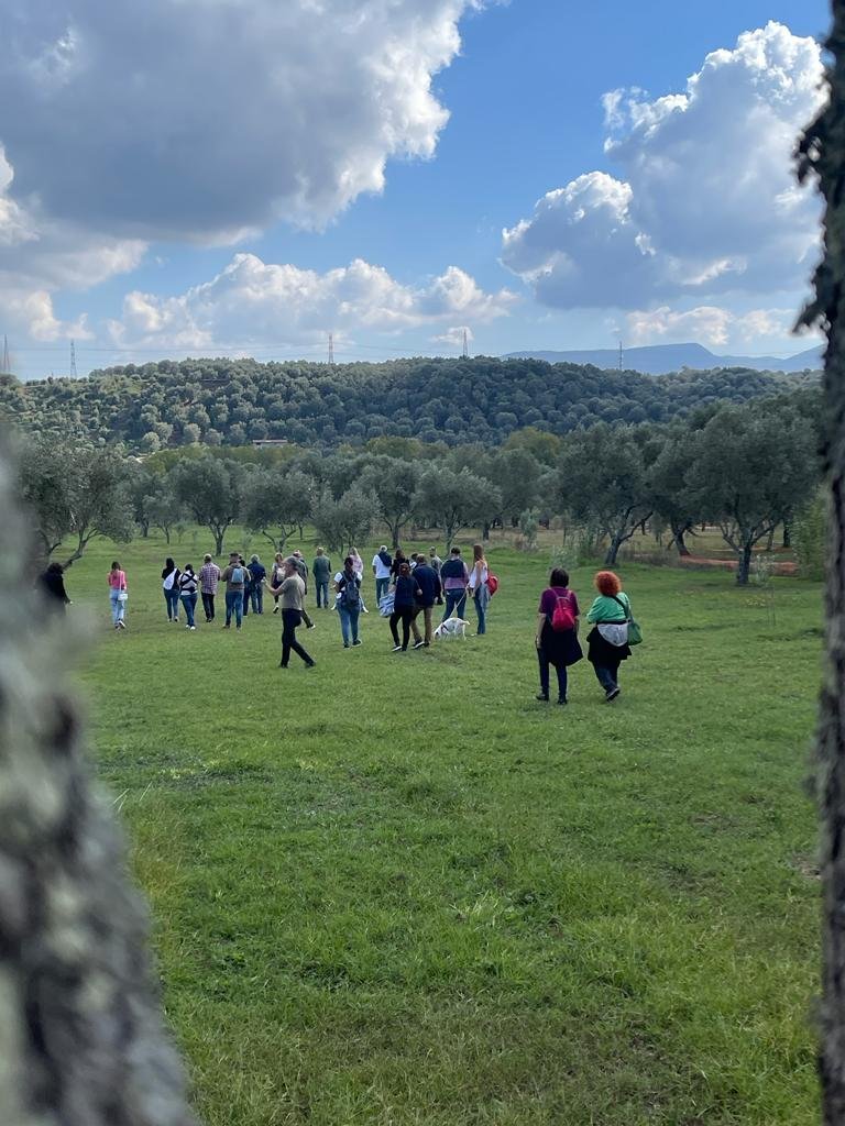Camminata Tra Gli Olivi 2