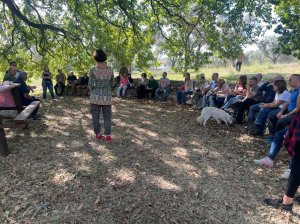 Camminata Tra Gli Olivi 3