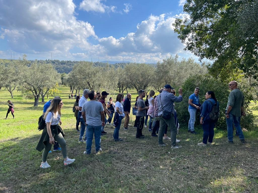 Camminata Tra Gli Olivi 6