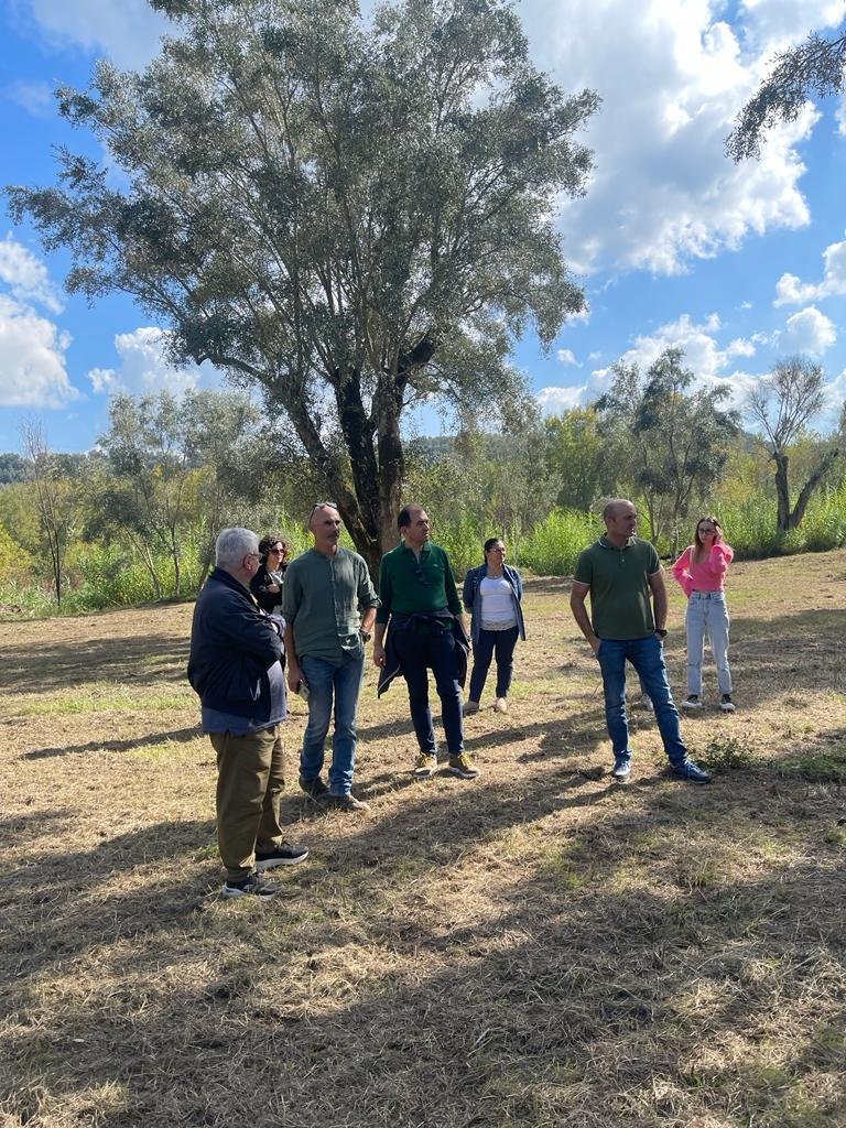 Camminata Tra Gli Olivi