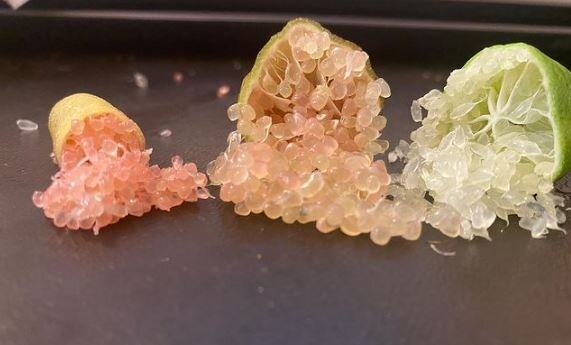 Finger Lime 1