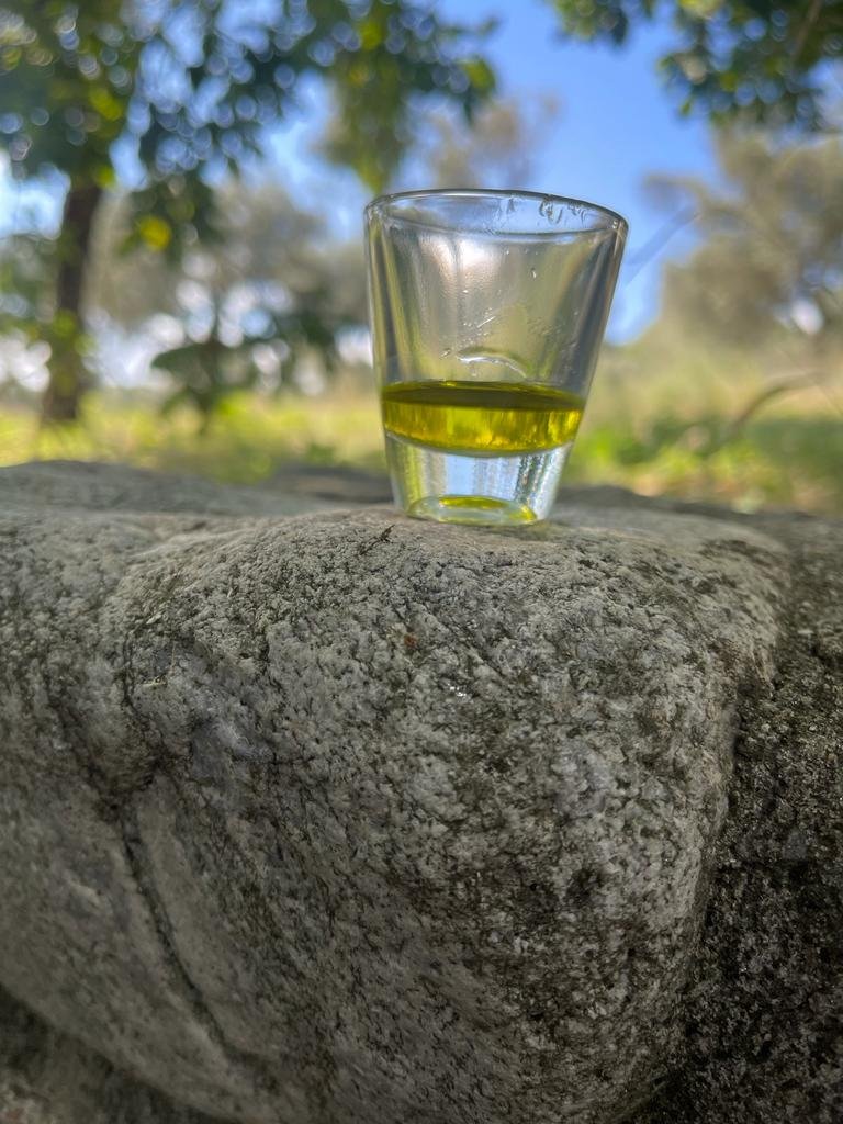 Olio