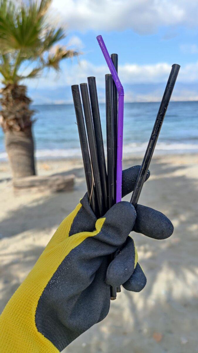 Plastic Free 2 Ottobre (7)