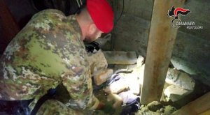 CINQUEFRONDI ARRESTATO 36ENNE DAI CARABINIERI TROVATO IN POSSESSO DI PISTOLA CON MATRICOLA ABRASA E PISTOLA SPARARAZZI MODIFICATA PER SPARARE PROIETTILI