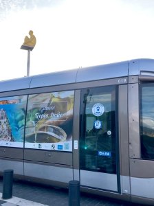 NIZZA TRAM TROPEA (3)