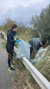 TROPEA WALKFOREARTH (13)