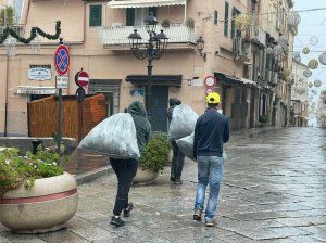 TROPEA WALKFOREARTH (9)
