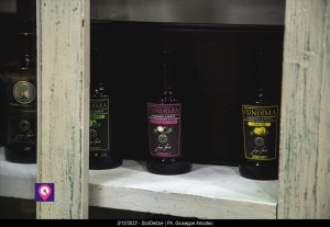 2022 12 03 SICIL DELIZIE0031