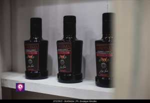 2022 12 03 SICIL DELIZIE0051