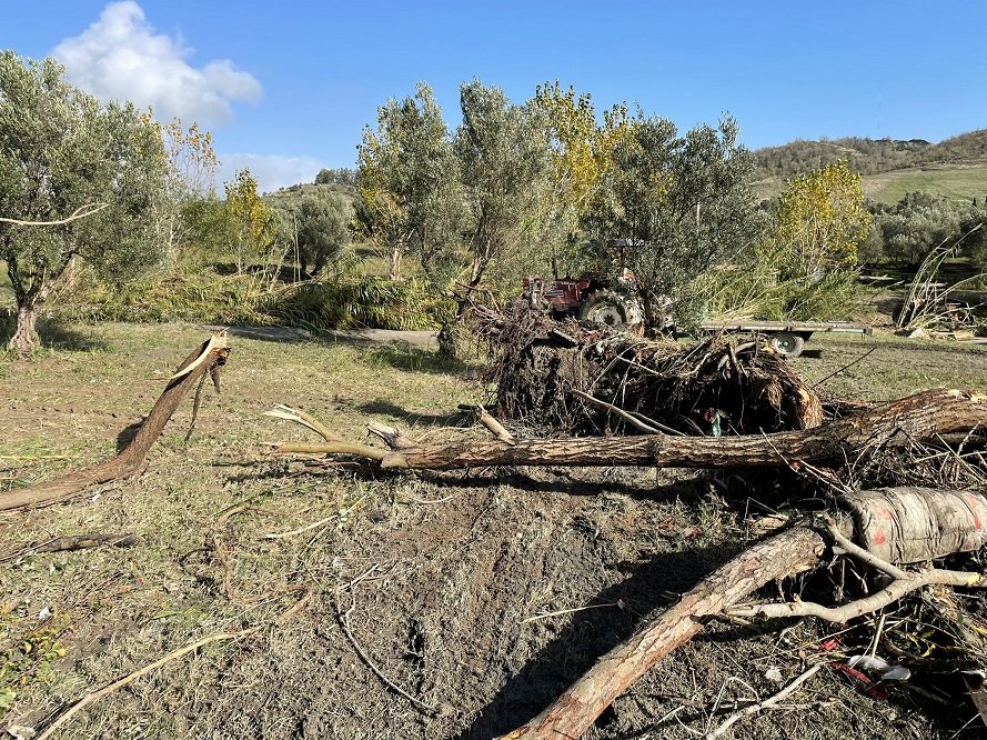La Devastazione Dopo Il Nubifragio