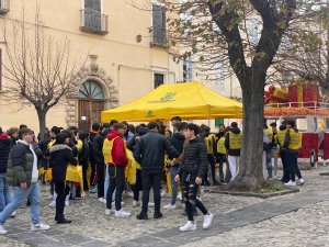 TROPEA MOZZICONIFREE 221222 (1)