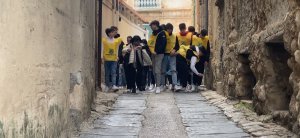 TROPEA MOZZICONIFREE 221222 (10)