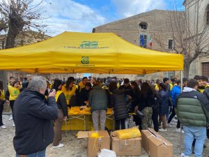 TROPEA MOZZICONIFREE 221222 (2)