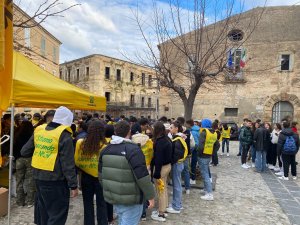 TROPEA MOZZICONIFREE 221222 (4)