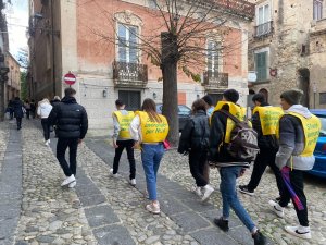 TROPEA MOZZICONIFREE 221222 (5)