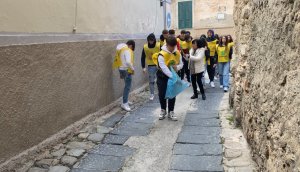 TROPEA MOZZICONIFREE 221222 (9)