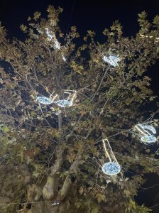 TROPEA VILLAGGIONATALE 081222 (1)