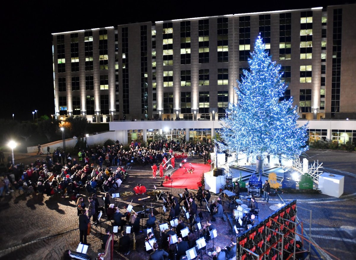 Albero Natale Regione Calabria