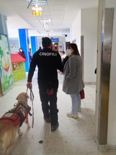 Catanzaro Scuola Ospedale Cane Salvataggio 2 379x505
