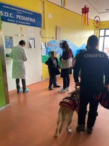 Catanzaro Scuola Ospedale Cane Salvataggio 4