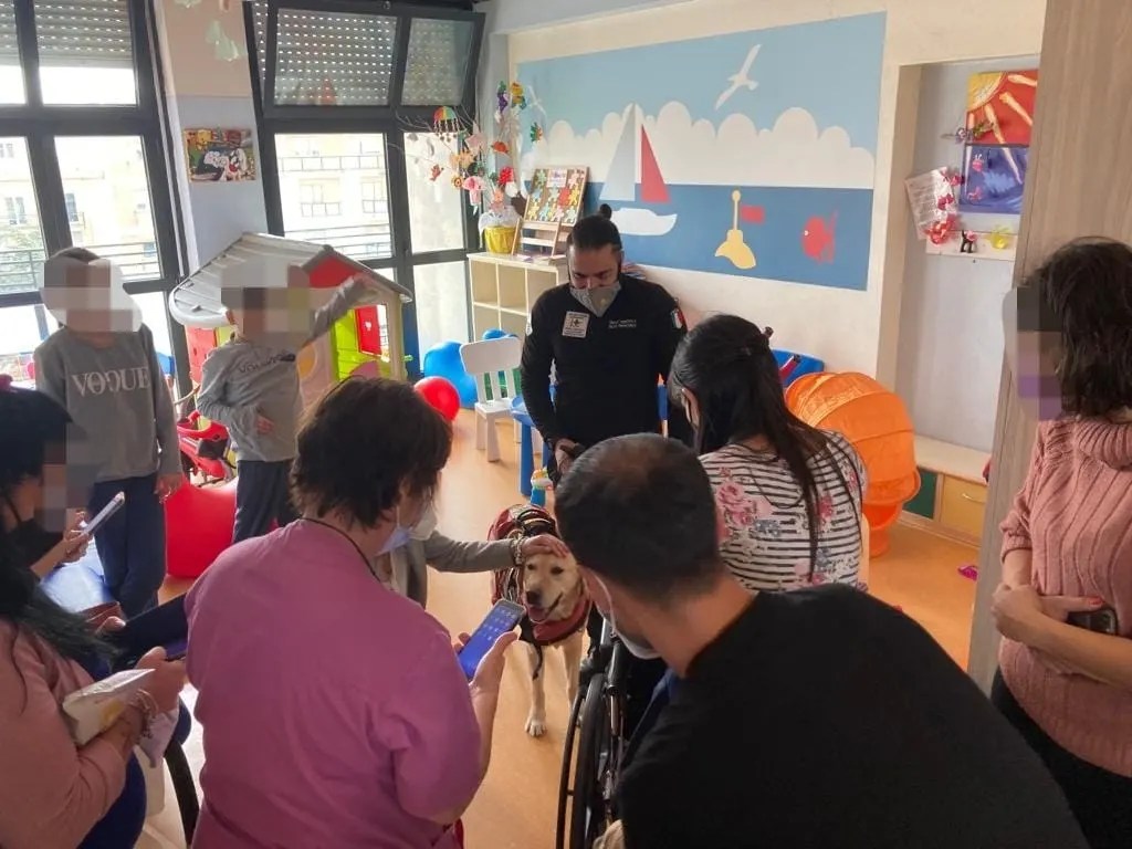 Catanzaro Scuola Ospedale Cane Salvataggio 5 379x505