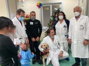 Catanzaro Scuola Ospedale Cane Salvataggio 5 673x505
