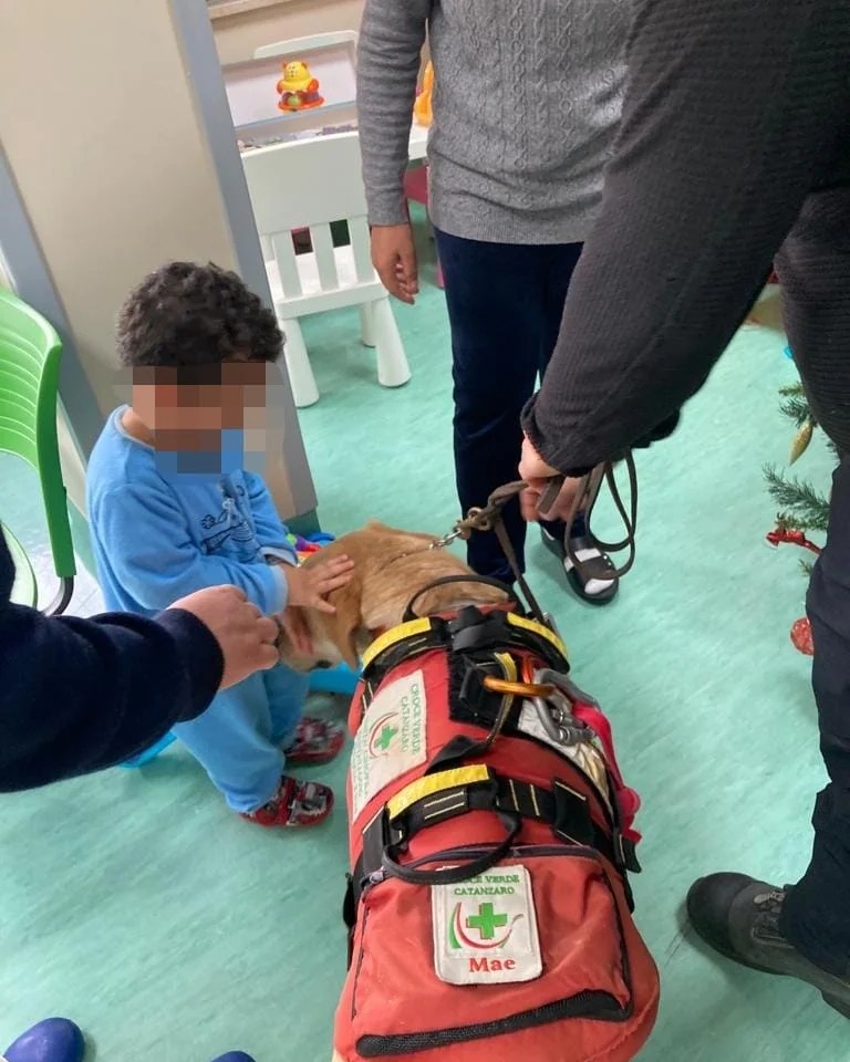 Catanzaro Scuola Ospedale Cane Salvataggio 6
