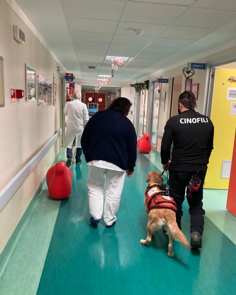 Catanzaro Scuola Ospedale Cane Salvataggio 7