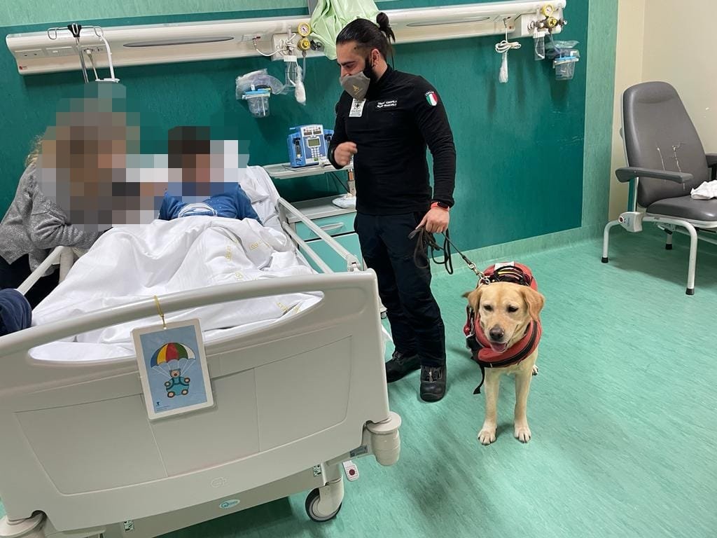 Catanzaro Scuola Ospedale Cane Salvataggio 9