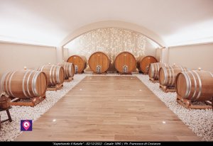 Cenaunindustriagiovani (21)