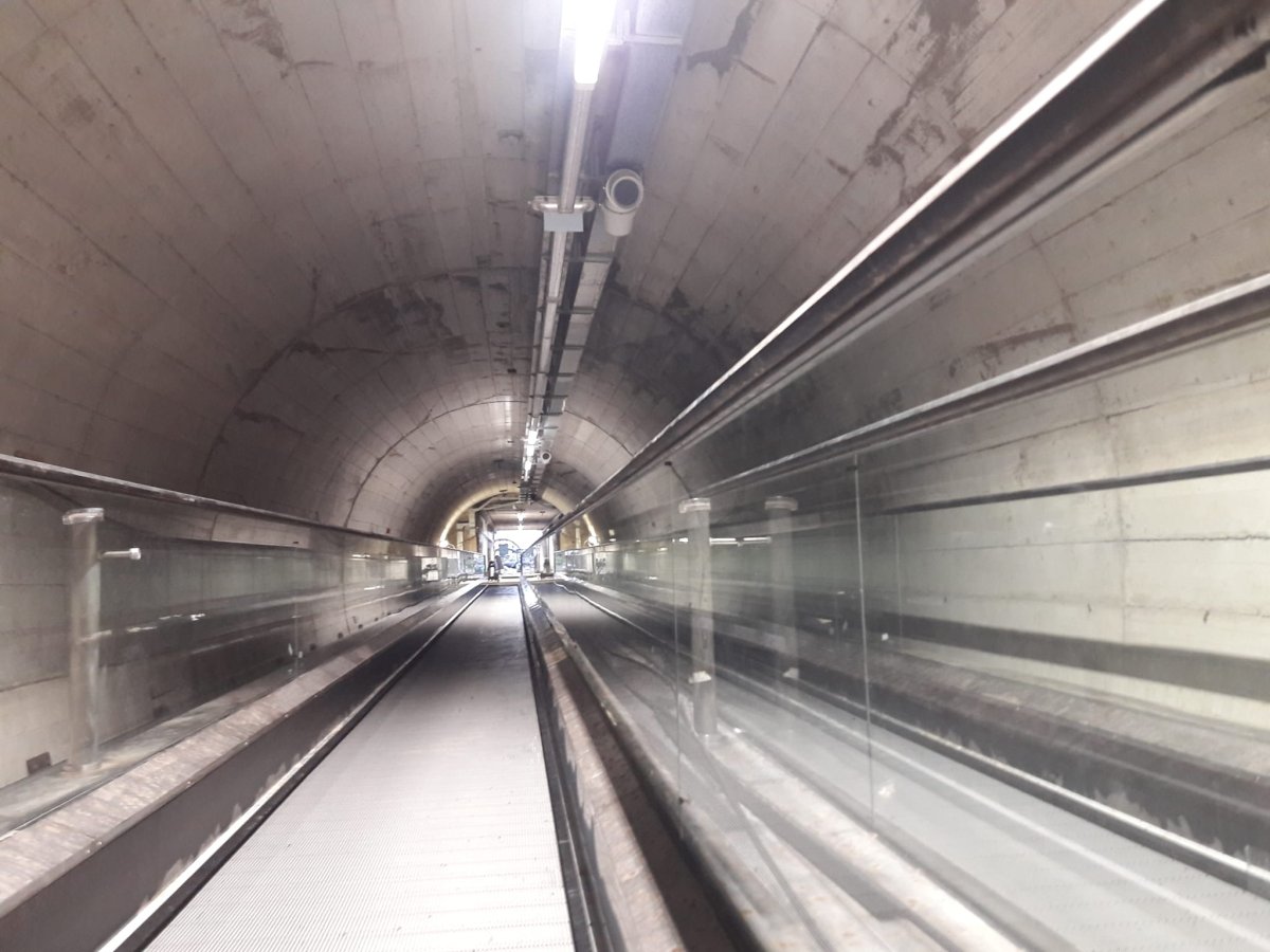 Tapis Roulant Ascensore (2)