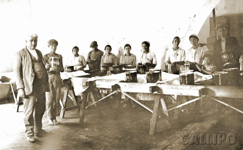 Lavorazione Tonno Callipo