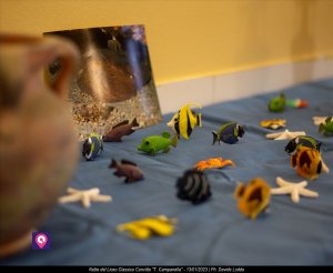 Notte Liceo Classico Convitto Campanella 75