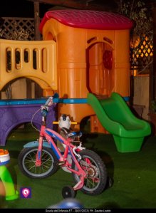 Scuola Infanzia Et 46