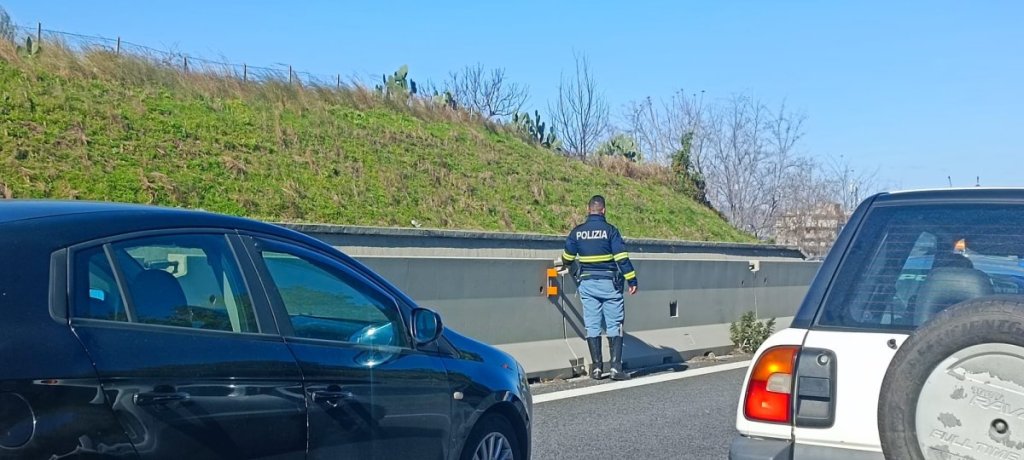Cane Autostrada