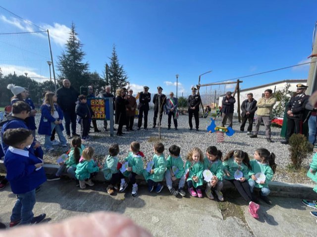 Albero Falcone Martone 1