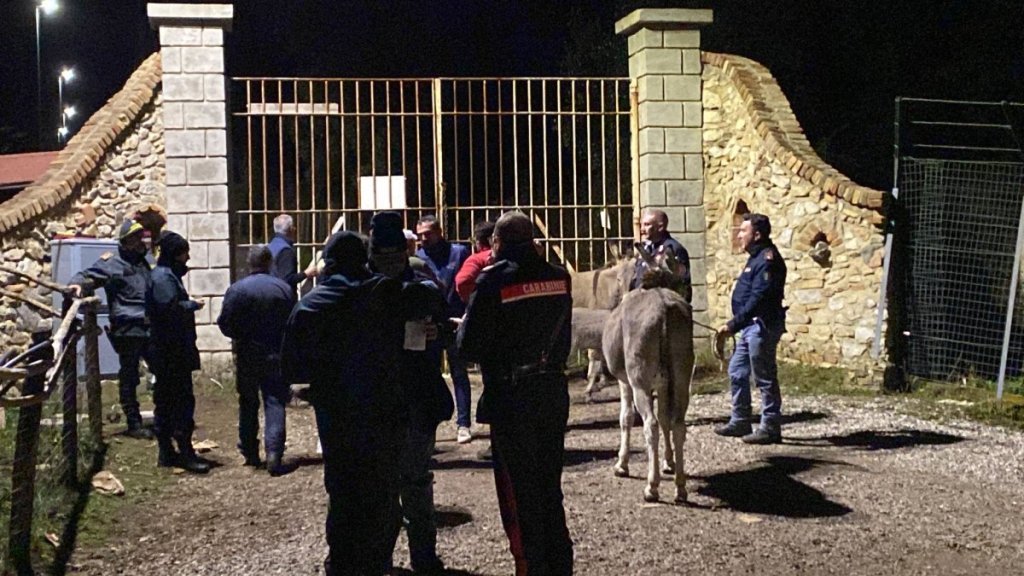 Notastampa18feb2023 Comunecampocalabro