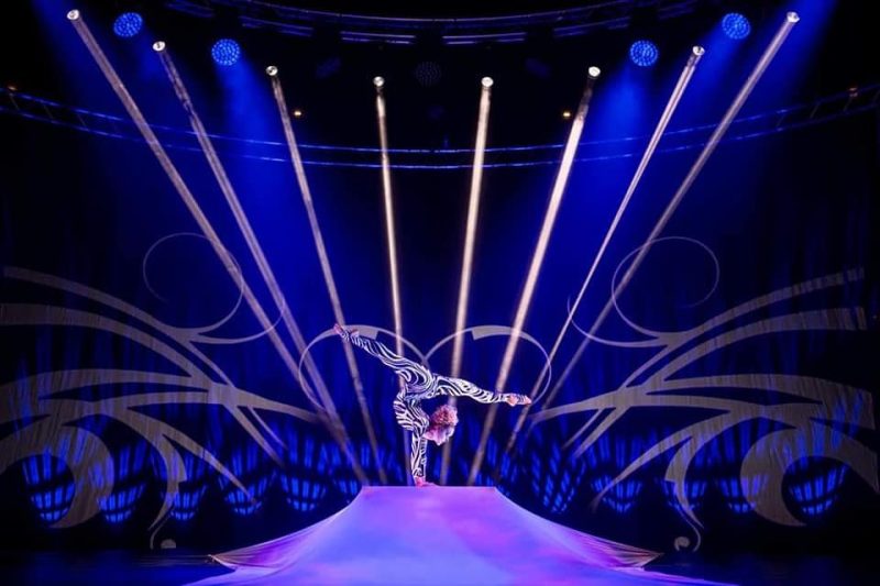 Le Cirque Wtp 1