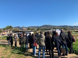Comitato Sorveglianza Ecolandia 1